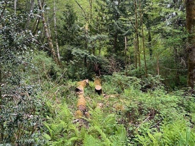 Land for sale in Port Orchard, Washington