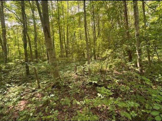 Land for sale in Amesville, Ohio