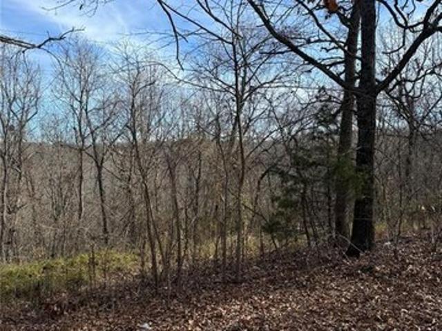 Land for sale in Dixon, Missouri