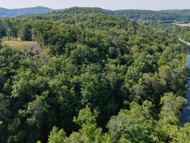 Land for sale in Cedar Bluff, Alabama