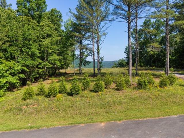 Land for sale in Cedar Bluff, Alabama
