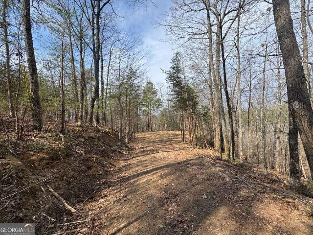 Land for sale in Gordon, Georgia