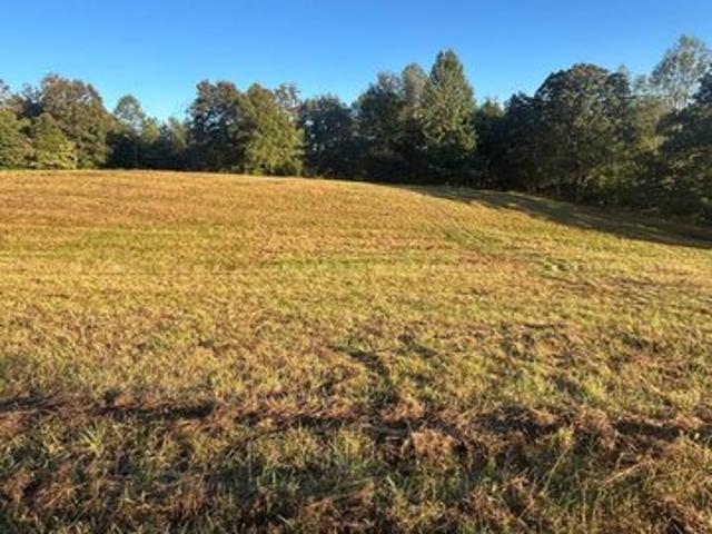 Land for sale in Mount Sherman, Larue County
