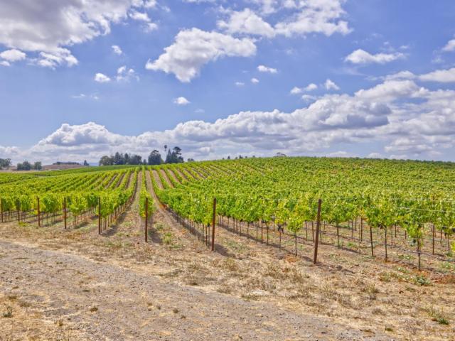 Land for sale in Petaluma, California