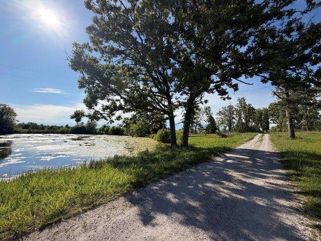 House for sale in Mountain Grove, Missouri