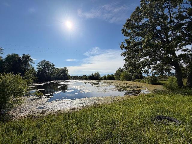 House for sale in Mountain Grove, Missouri