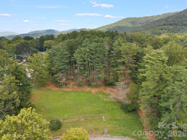 Commercial for sale in Asheville, North Carolina