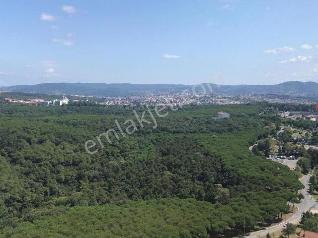 Sariyer, İstanbul içerisinde kiralık Residence