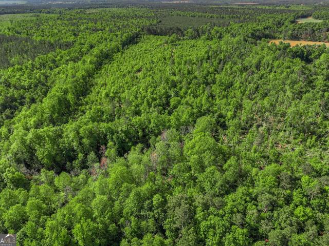 Land for sale in Wrens, Georgia