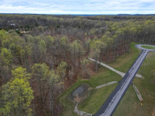 Land for sale in Michigan