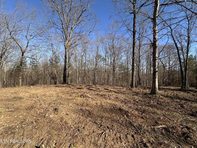 Farm for sale in Tennessee