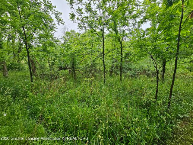 House for sale in Grand Ledge, Michigan