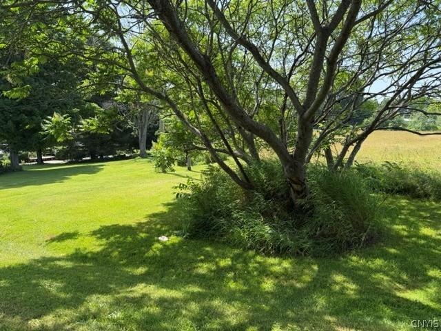 Land for sale in Cayuga, New York