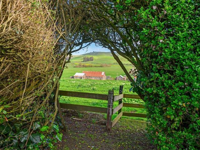 House for sale in Valley Ford, California