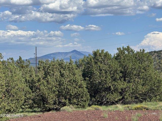 Land for sale in Williams, Arizona
