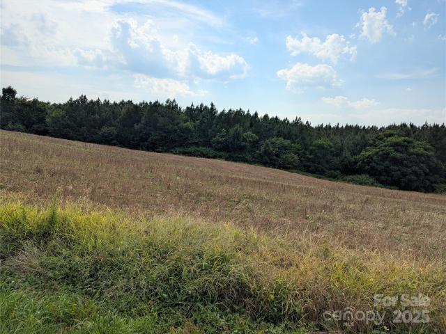 Land for sale in Polkton, North Carolina