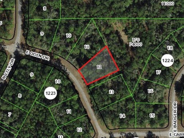 Land for sale in Dunnellon, Florida