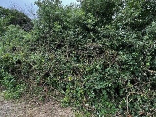 Land for sale in Oregonia