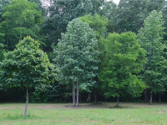 Land for sale in Oconee, Georgia