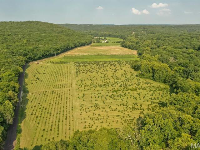 Property for sale in Festus, Missouri