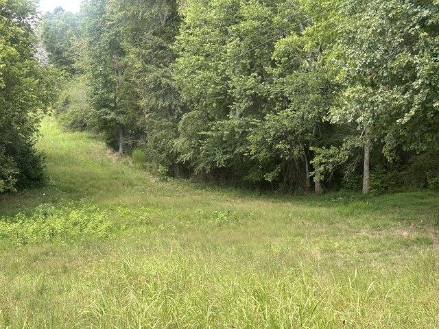 Land for sale in Tennessee