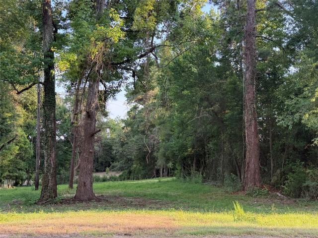 Land for sale in Burkeville, Newton County