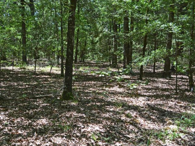 Property for sale in Lamar, Texas