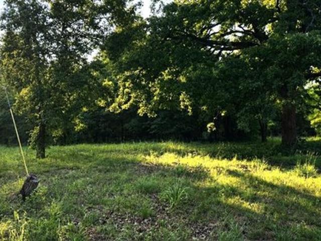 Land for sale in Henderson, Texas