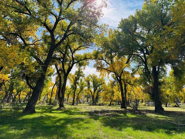 Farm for sale in Navajo Dam, New Mexico