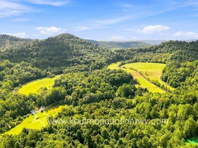 Land for sale in Flemington, Taylor County