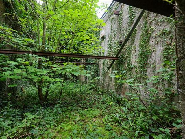 Property for sale in Longford, North Tipperary