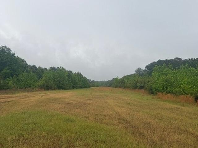 Land for sale in Talbot, Georgia