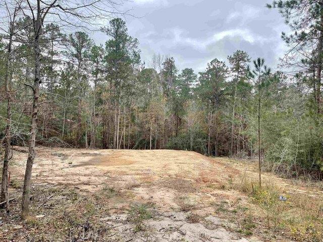 Land for sale in Brookeland, Sabine County