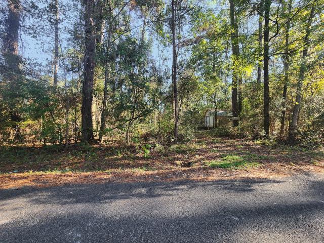 Land for sale in Polk, Texas