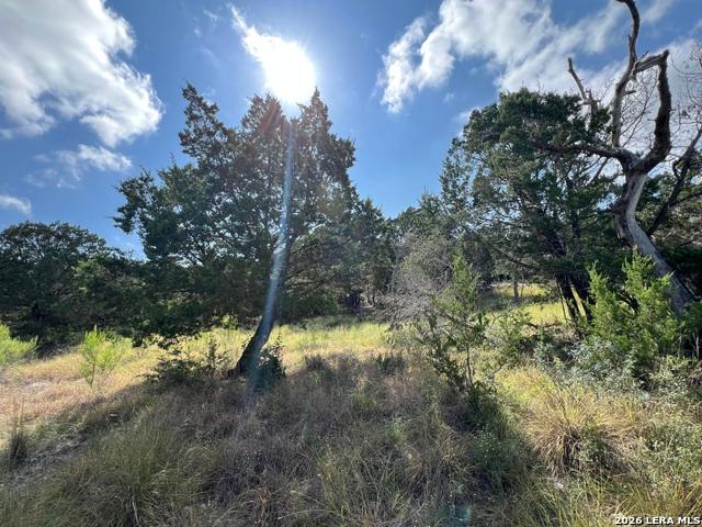 Land for sale in Pipe Creek, Texas
