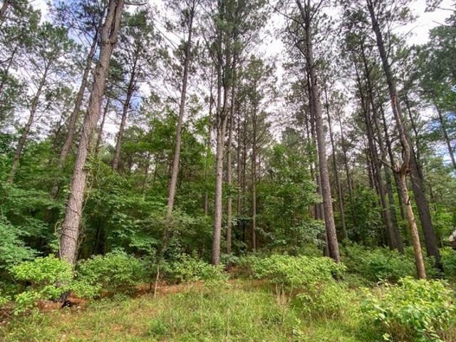 Land for sale in Broken Bow, Oklahoma