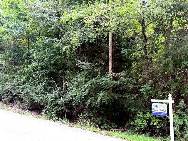 Land for sale in Coatesville, Indiana