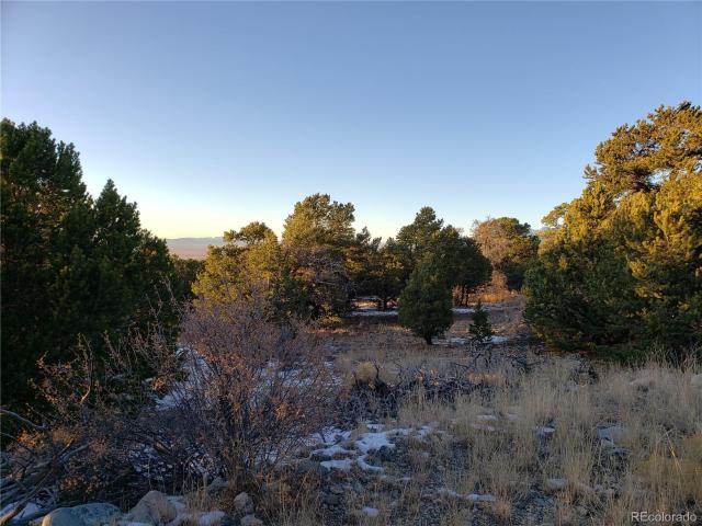 Land for sale in Mosca