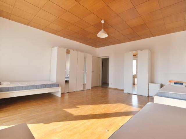 Wohnung mieten in Schwechat, Niederösterreich