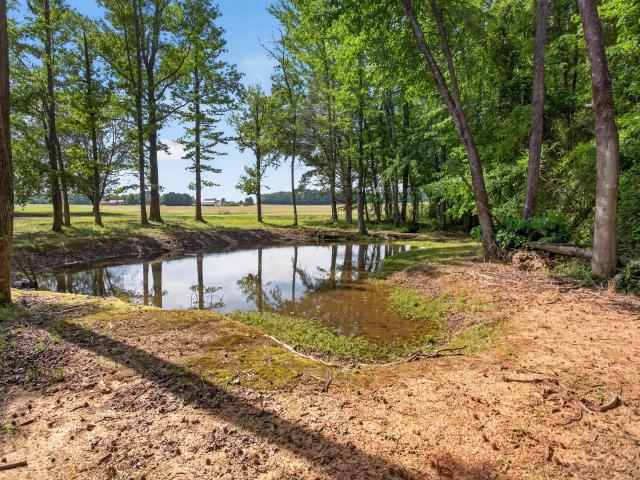 House for sale in Pendleton, South Carolina