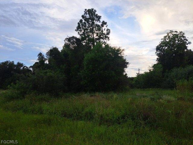 Land for sale in Lehigh Acres, Florida