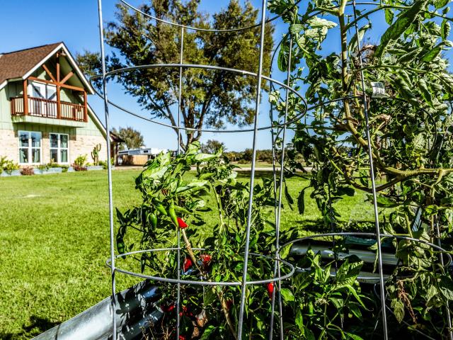 Farm for sale in Limestone, Texas