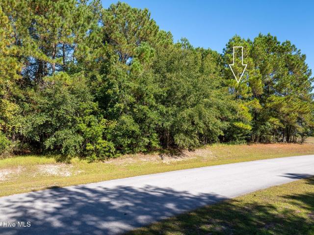 Land for sale in Thomas Landing, Holly Ridge