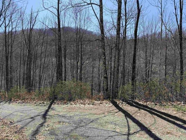 Land for sale in Elkins, West Virginia