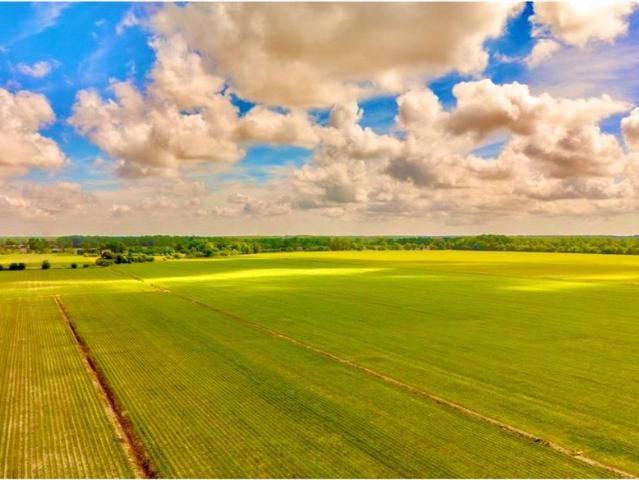 Land for sale in Virginia