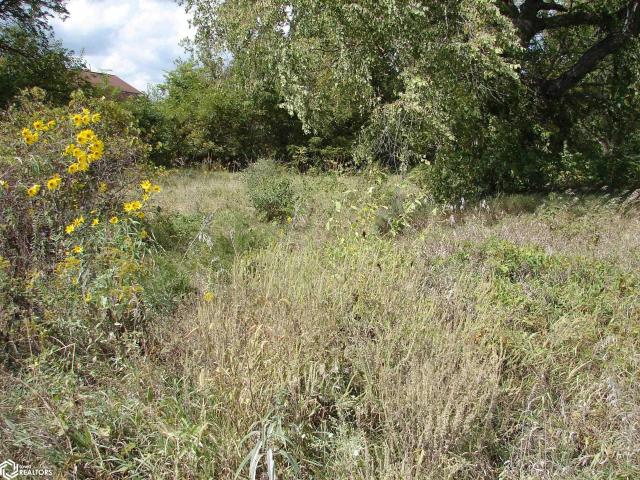 Land for sale in Bonaparte, Iowa