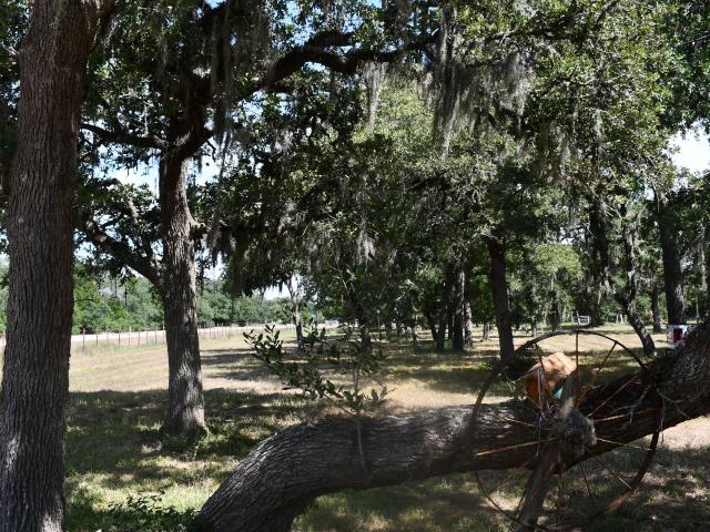 House for sale in Hallettsville, Texas