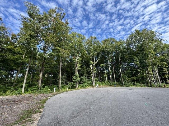 Land for sale in South Haven, Van Buren County