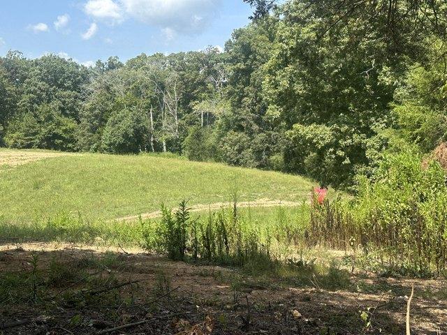 Land for sale in Tennessee