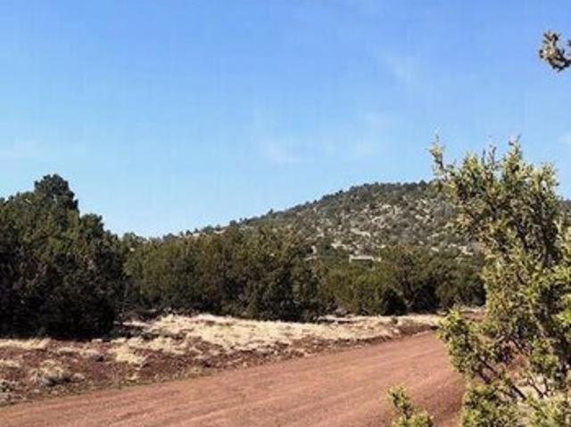 Land for sale in Williams, Arizona